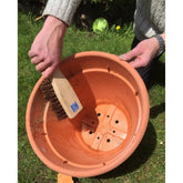 Bass Churn Brush Stiff Bassine Churn Brush Pot Brush